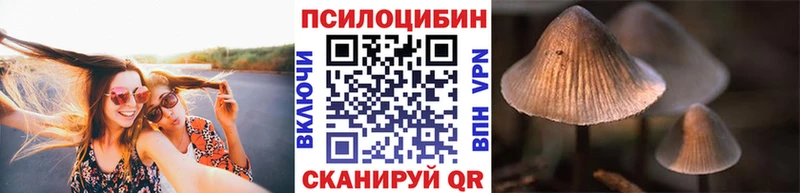 блэк спрут зеркало  Гдов  Галлюциногенные грибы MAGIC MUSHROOMS 